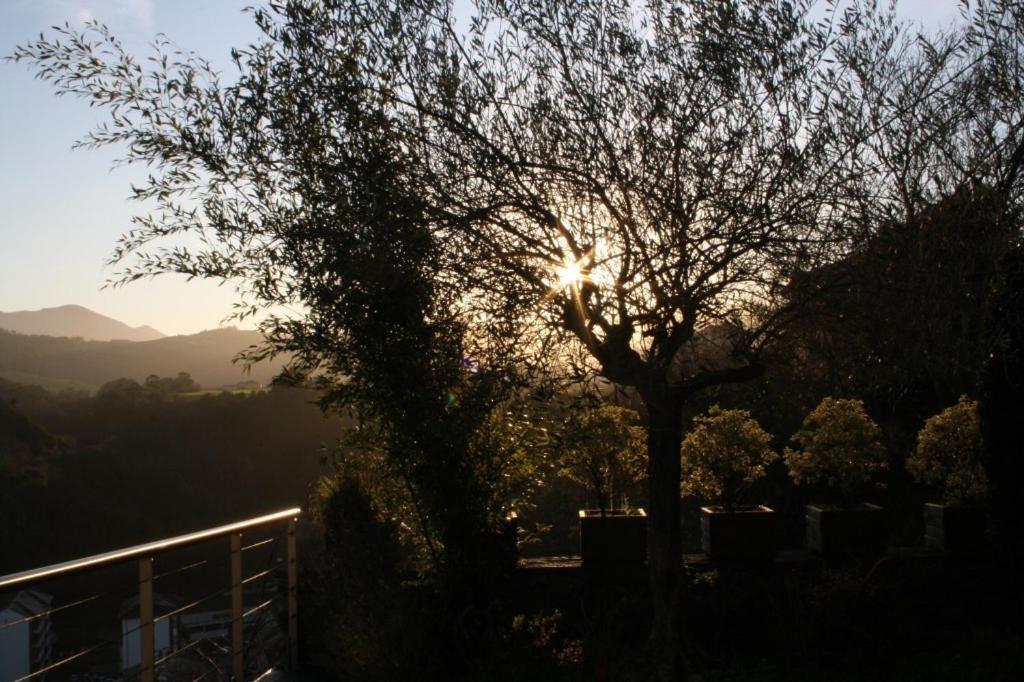 Casona El Gurugu Hotel ลัวร์กา ภายนอก รูปภาพ